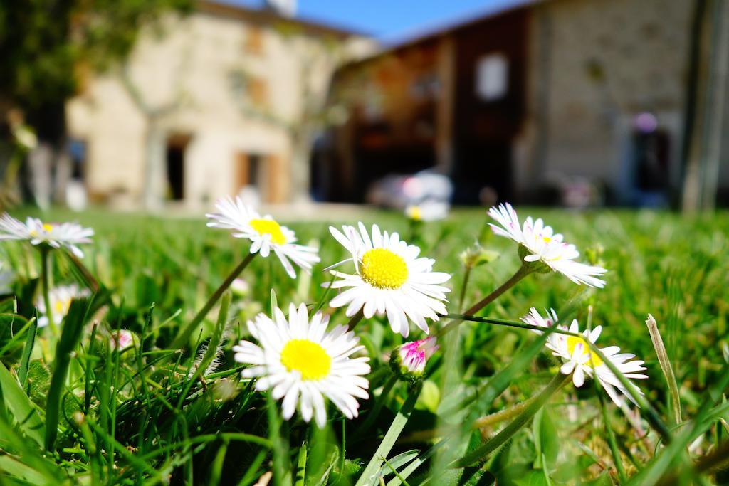 La Ferme Des Denis Chambres Dhotes Chanos-Curson Luaran gambar